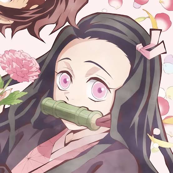 Produits Nezuko Demon Slayer